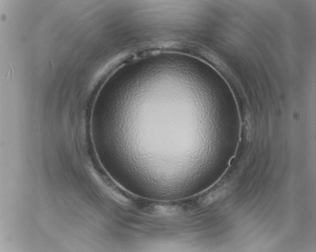 X0000060810442200511241939