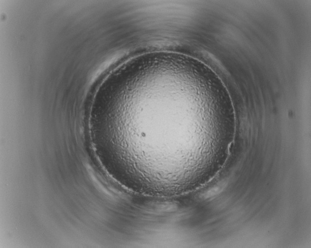 X0000060810443200511241939