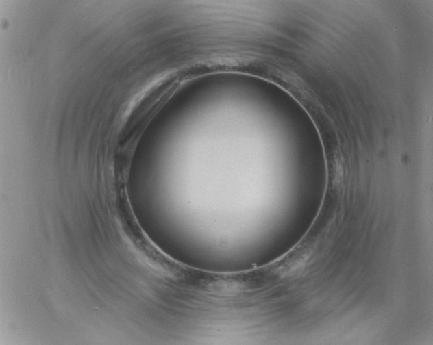 X0000060810444200511241939