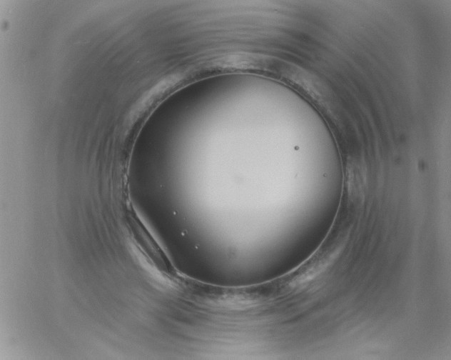 X0000060810445200511241939