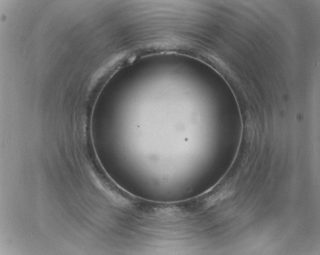 X0000060810446200511241939