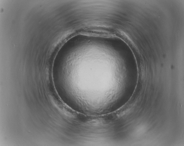 X0000060810447200511241939