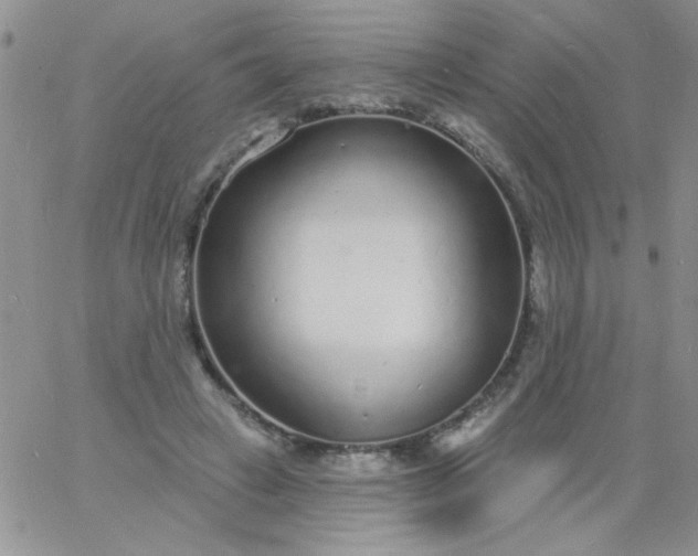 X0000060810449200511241939