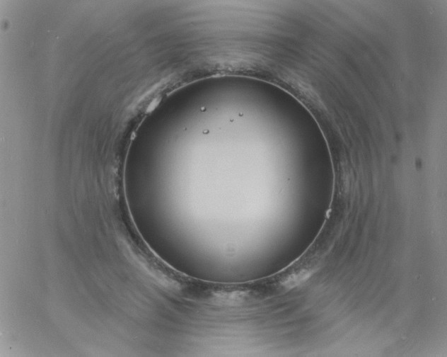 X0000060810450200511241939