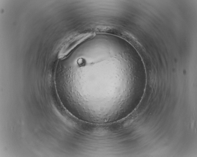 X0000060810451200511241939