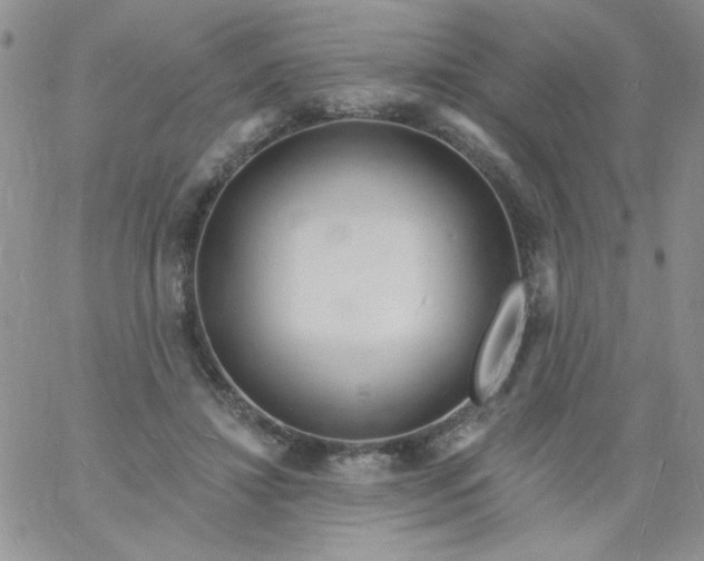 X0000060810452200511241939