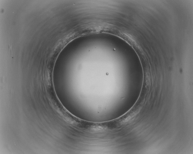 X0000060810453200511241939