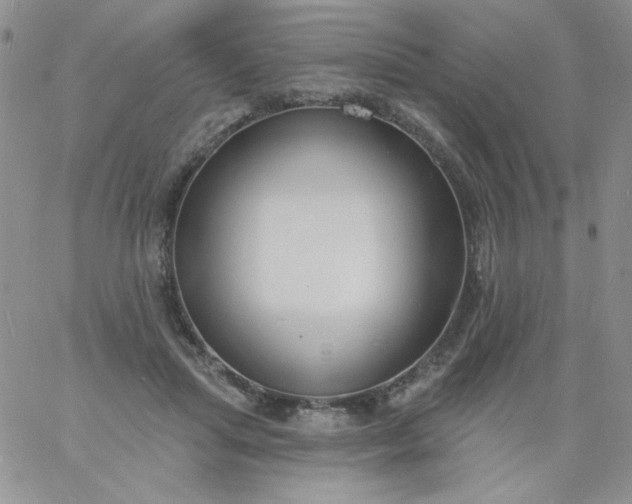 X0000060810455200511241940