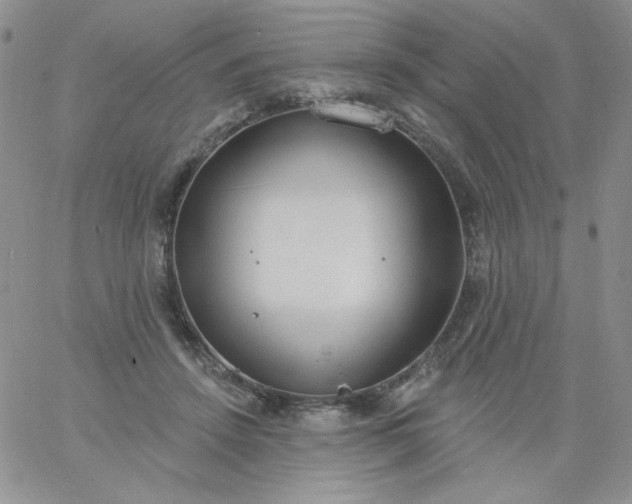 X0000060810456200511241940