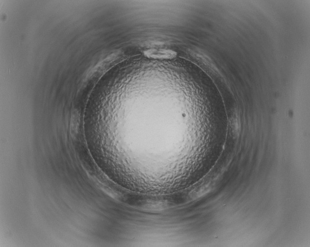 X0000060810458200511241940