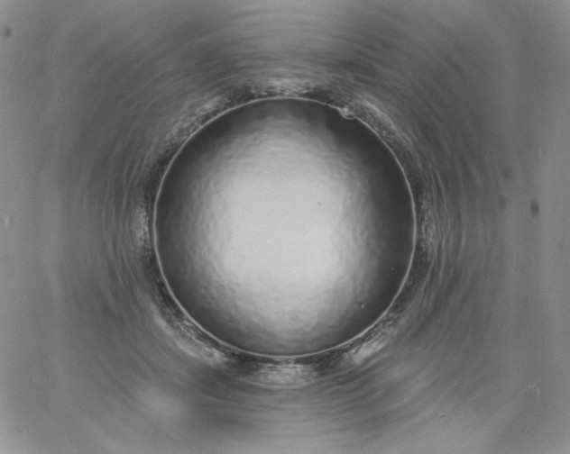X0000060810459200511241940