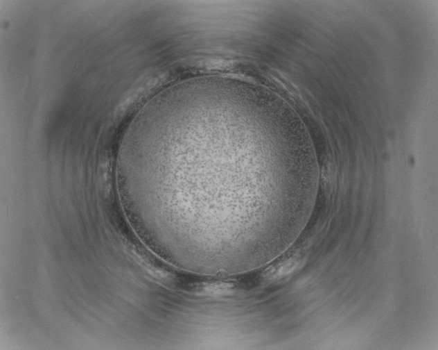 X0000060810462200511241940