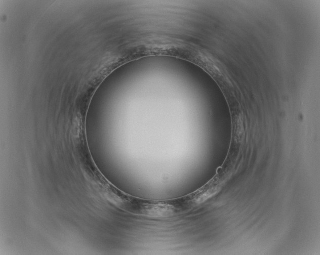 X0000060810463200511241940