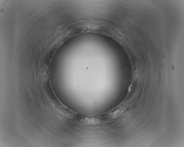 X0000060810464200511241940