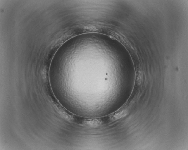 X0000060810466200511241940