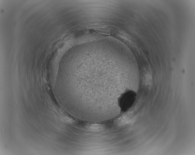 X0000060810467200511241940