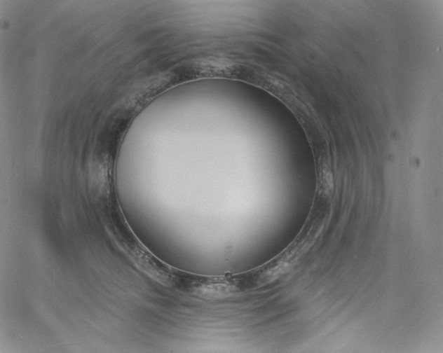 X0000060810468200511241940