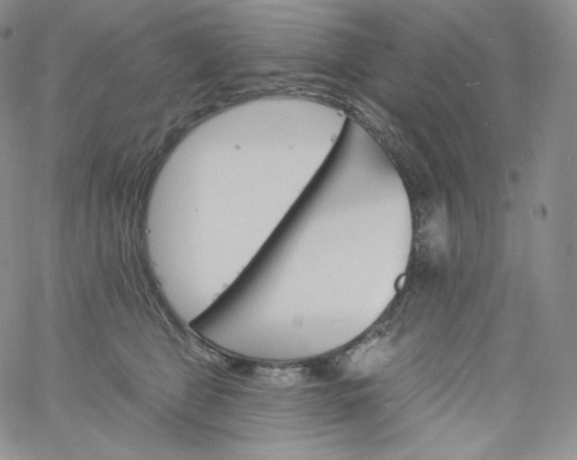 X0000060810469200511241940