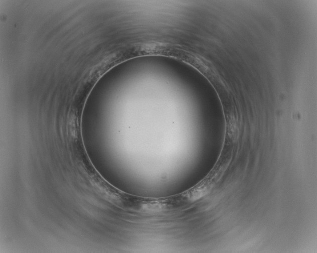 X0000060810470200511241940