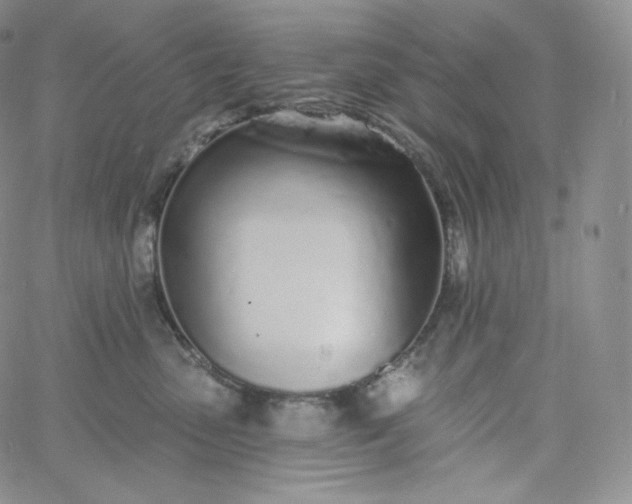 X0000060810475200511241940