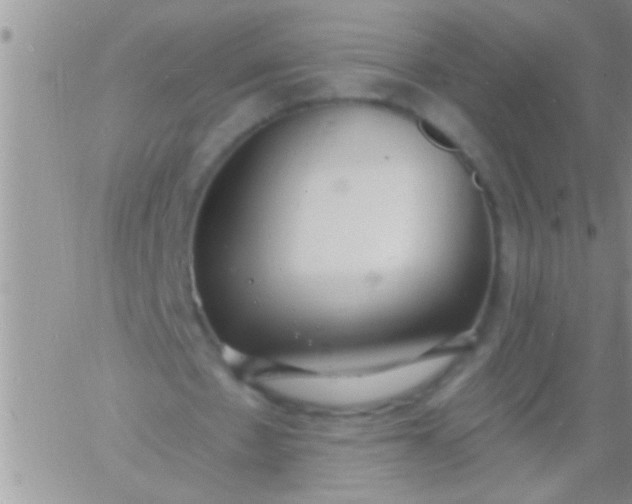 X0000060810481200511241939