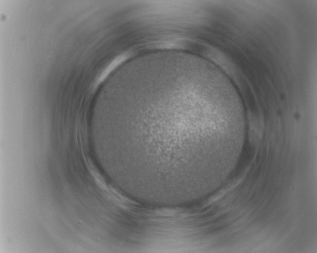 X0000060810482200511241939