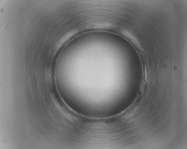 X0000060810483200511241939