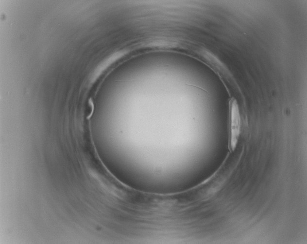 X0000060810484200511241939