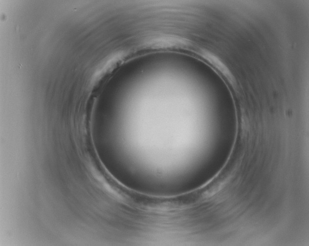 X0000060810485200511241939