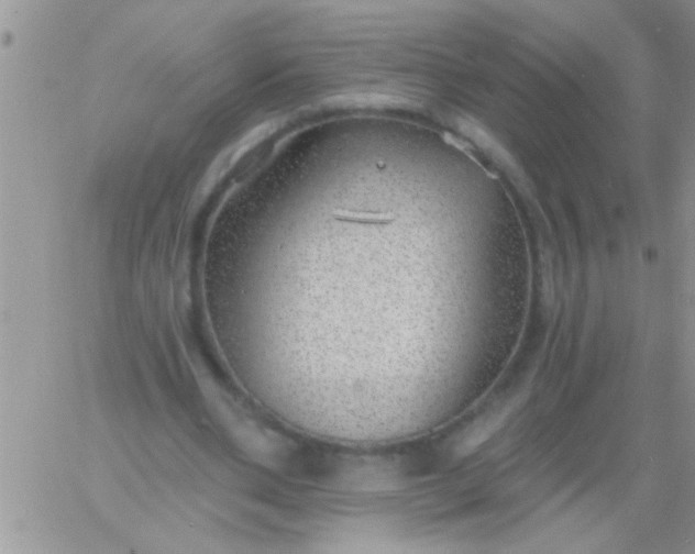 X0000060810486200511241939