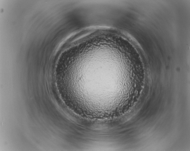 X0000060810487200511241939