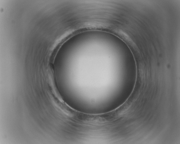 X0000060810488200511241939