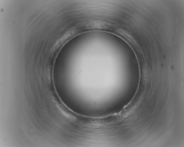 X0000060810489200511241939