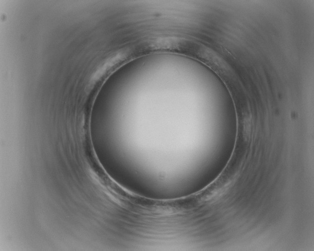 X0000060810490200511241939