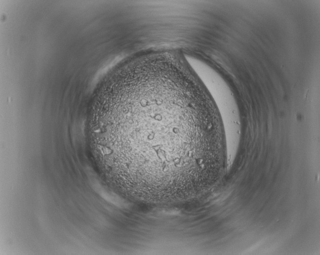 X0000060810491200511241939