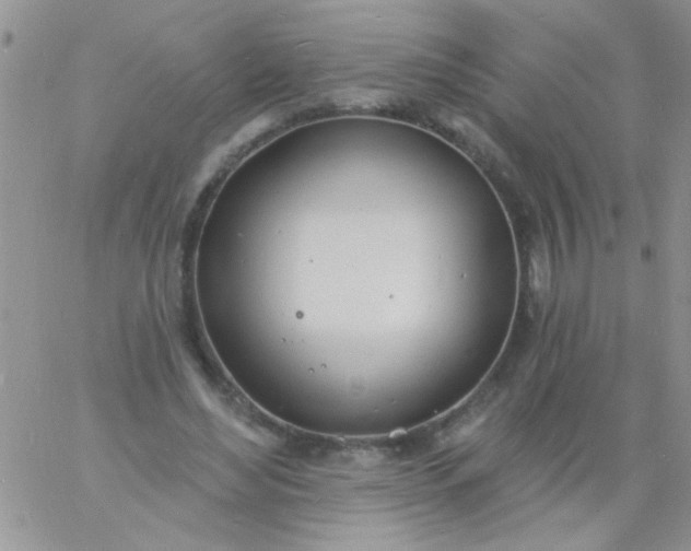 X0000060810492200511241939