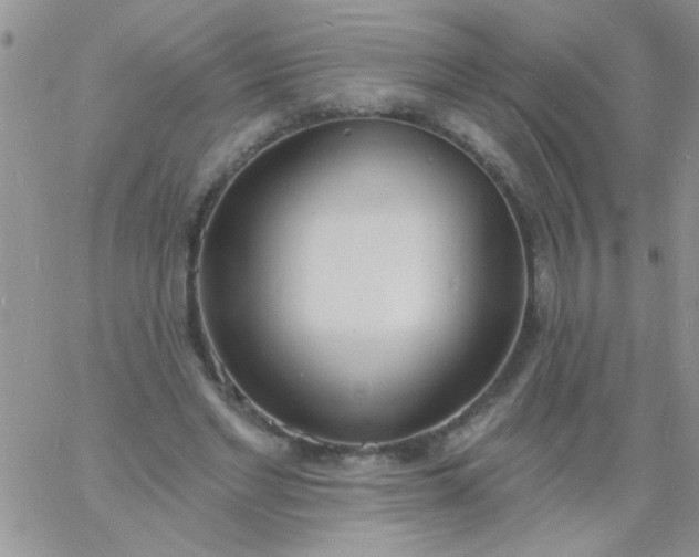 X0000060810493200511241939