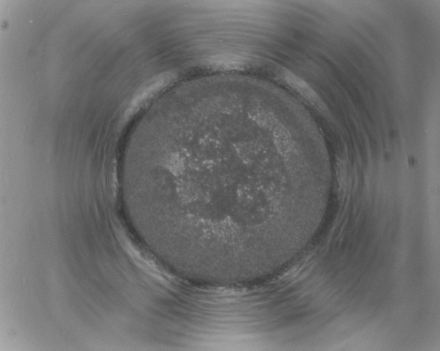 X0000060810494200511241939