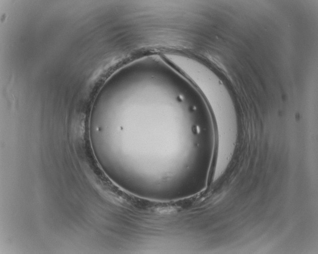 X0000060810495200511241939