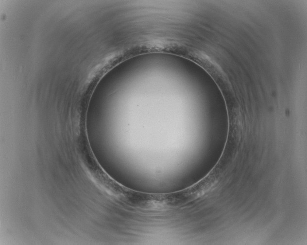 X0000060810496200511241939