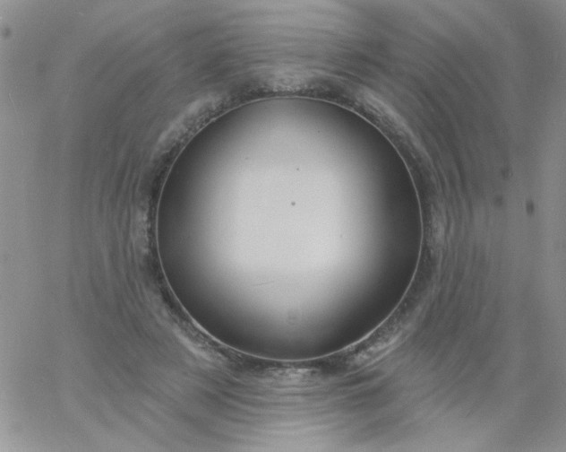 X0000060810497200511241939