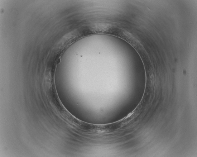 X0000060810498200511241939