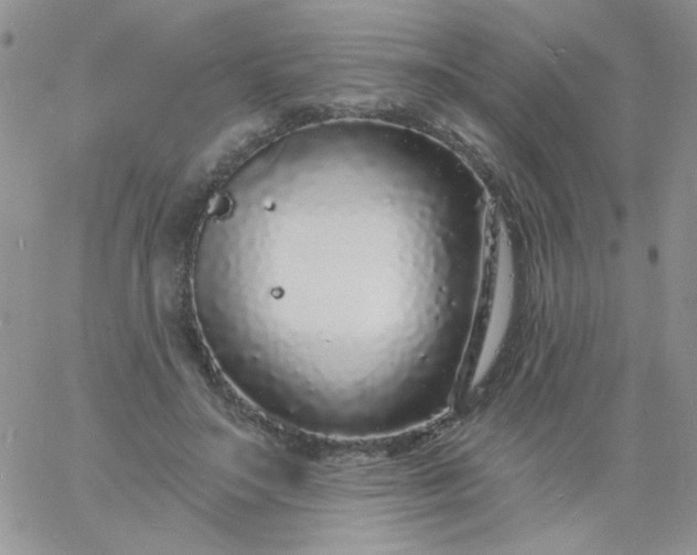 X0000060810499200511241939