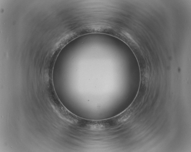 X0000060810500200511241939