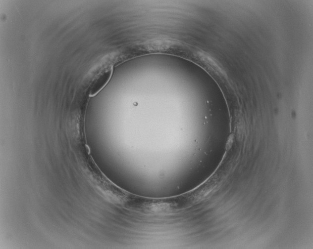 X0000060810501200511241939