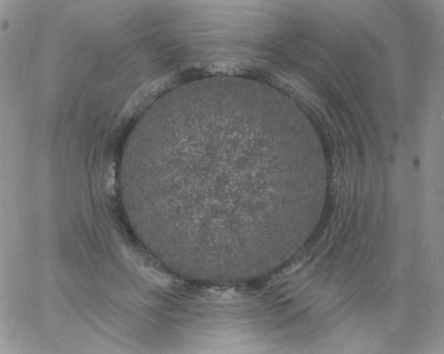 X0000060810502200511241939