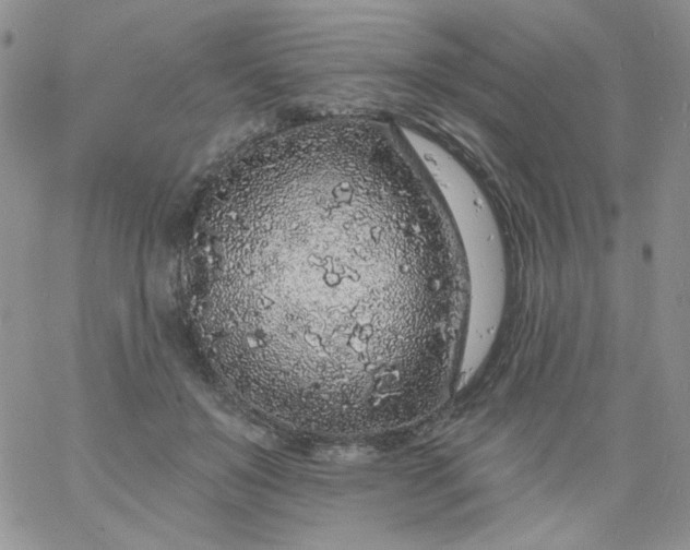 X0000060810503200511241939