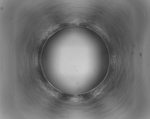 X0000060810504200511241939