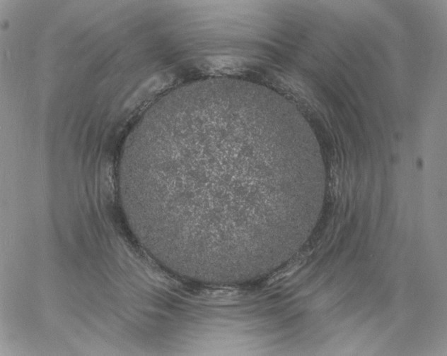 X0000060810506200511241939