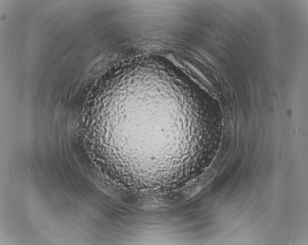 X0000060810507200511241939